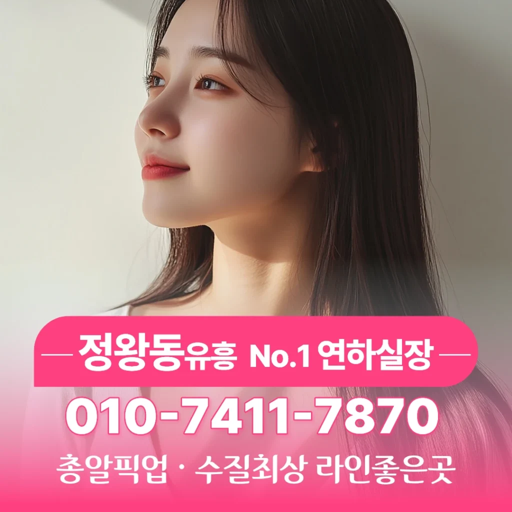 정왕동가라오케추천